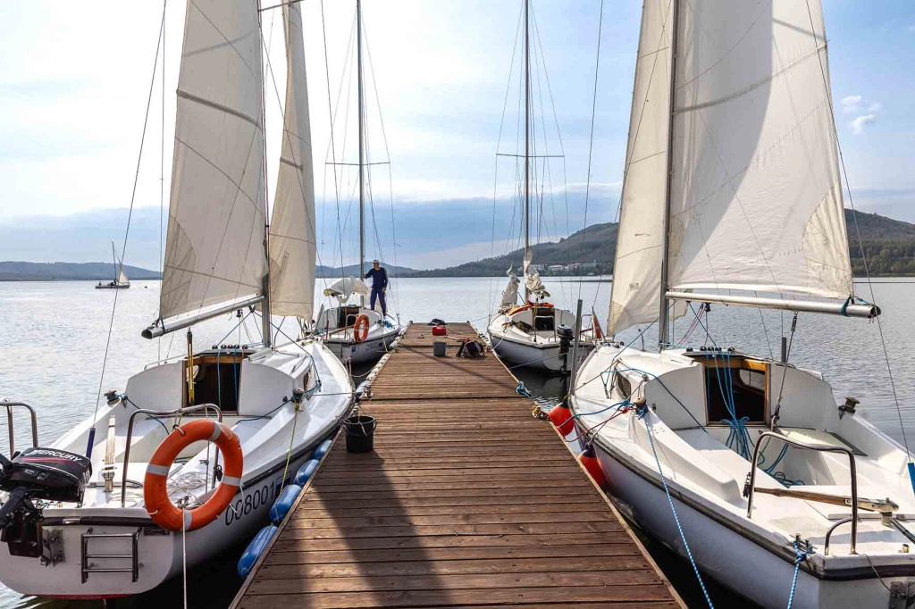 Симбиоз поколений