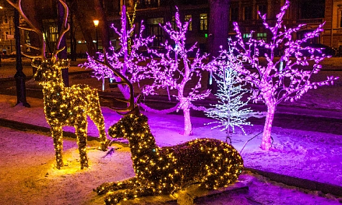 Двенадцать дней на идею