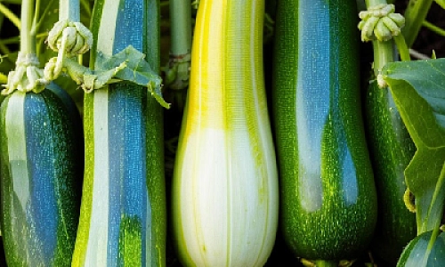 Загляни себе в тарелку