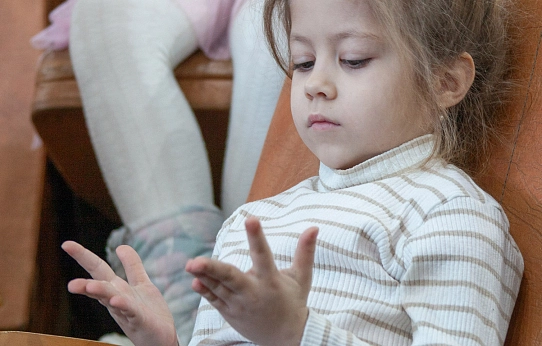 Новый год в Стране чудес