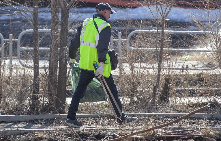 «Чистим пёрышки»