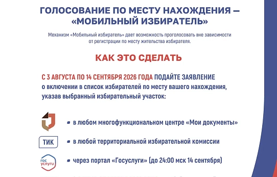 Выборы на Госуслугах
