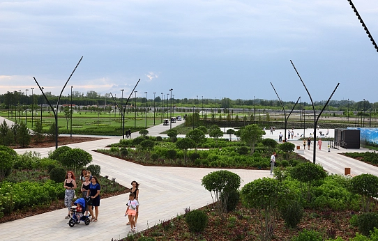 Качество жизни