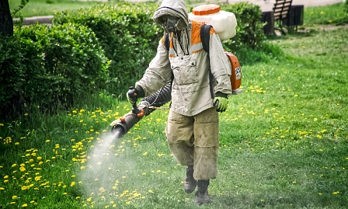 Аккуратнее с прогулками по лесу