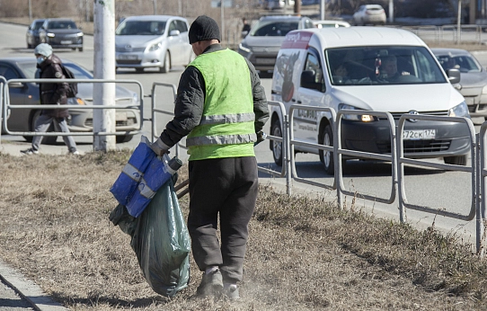 «Чистим пёрышки»