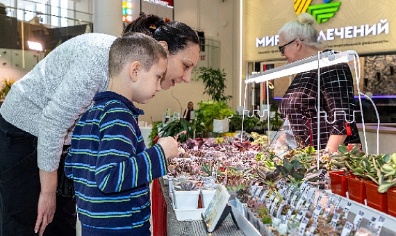Театр, ярмарка и виртуальная реальность