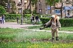 Клещи не дремлют