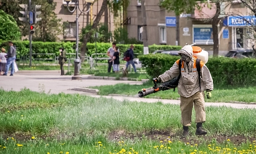 Клещи не дремлют