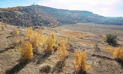 Вторая жизнь карьера