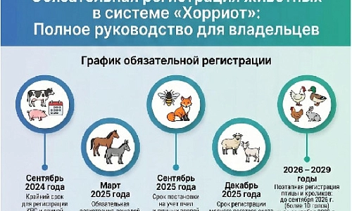 Маркировка и учет