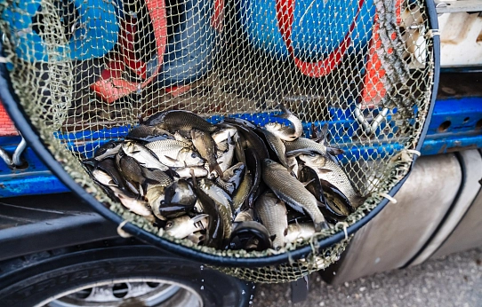 Рыбаки, готовьте удочки!