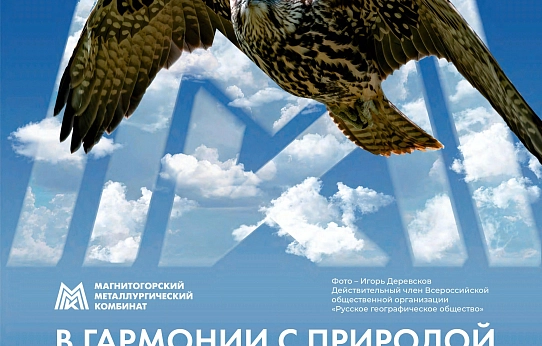 Так выглядит совершенство