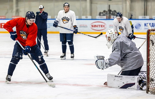 Из новичков – в серьёзные соперники