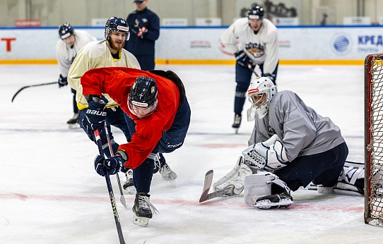 Из новичков – в серьёзные соперники