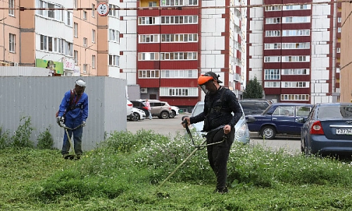 Зелёный вызов принят