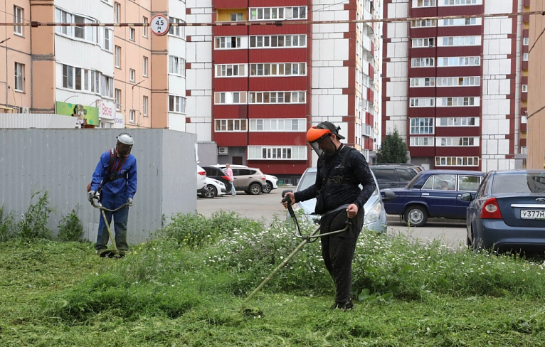 Зелёный вызов принят