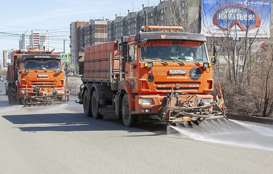 «Чистим пёрышки»