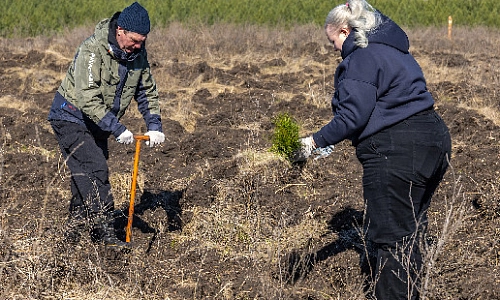 Не про потребление, а про созидание!
