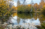 Озёрное «поголовье» Южного Урала