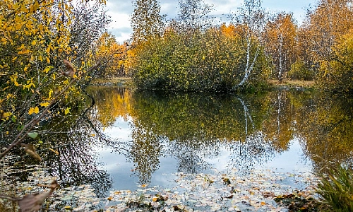 Озёрное «поголовье» Южного Урала