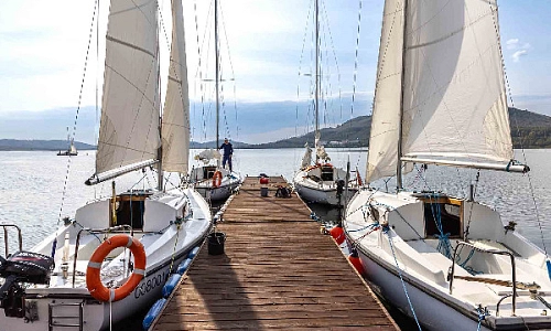 Симбиоз поколений