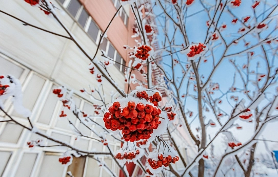 Прощай, зима!