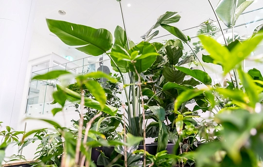 И среди зимы бывает лето