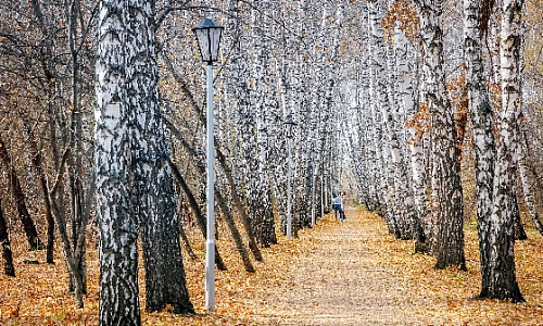 Чего ждать от ноября