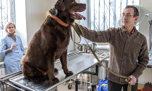 «И корова, и волчица, и жучок,  и червячок, и медведица»
