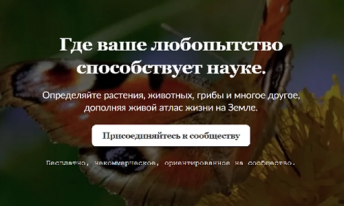 «Живые краски осени»