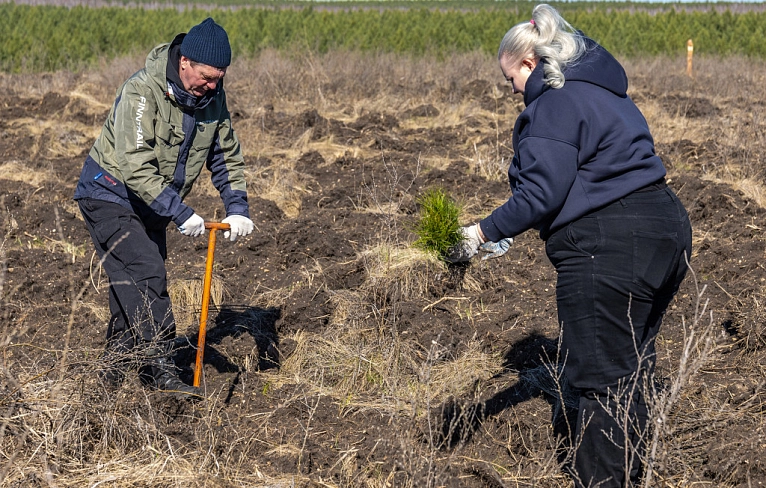Не про потребление, а про созидание!