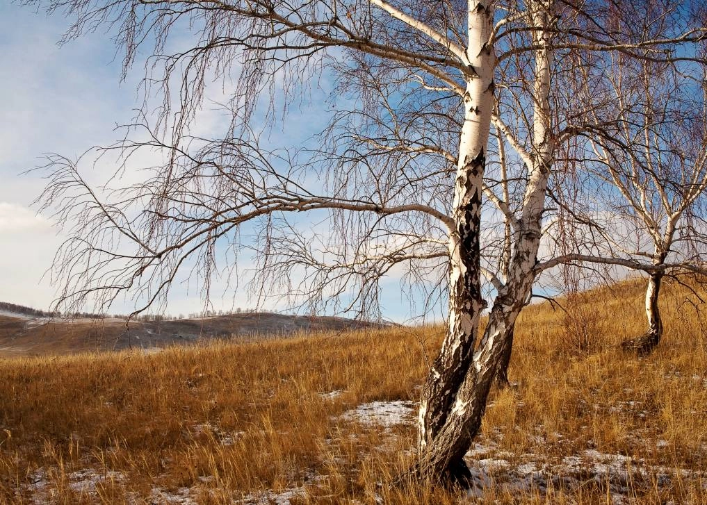 Прощание с осенью | Фотография 21