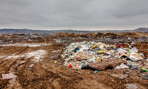 От свалок до повреждённых газонов