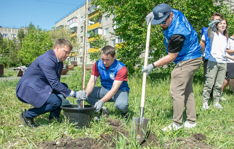 Молодые саженцы для сквера Молодёжного