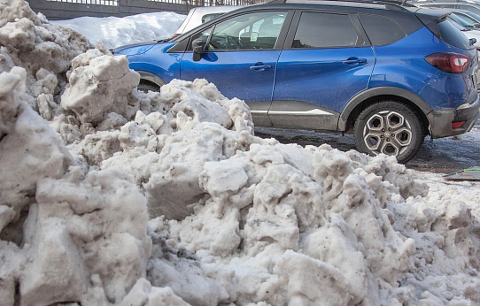 Весенние заботы