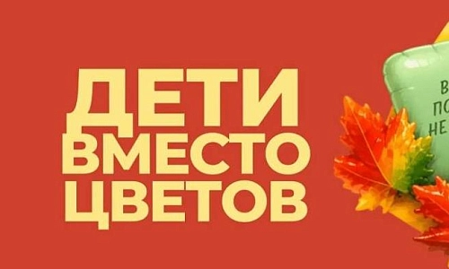 Помогли Кате