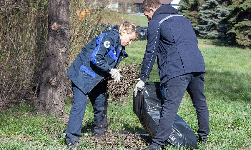 Живая природа на промплощадке