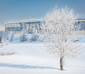 Прощай, зима!