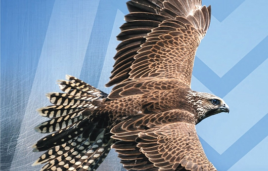 Так выглядит совершенство