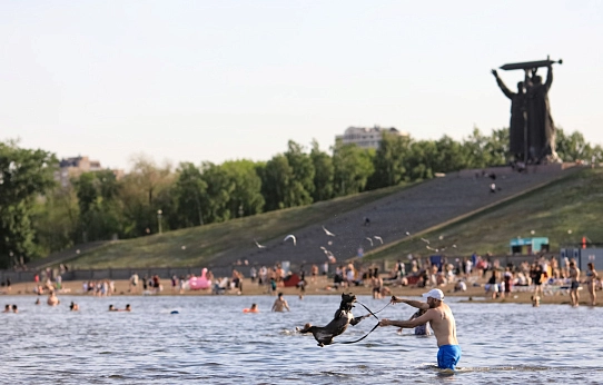 Формула безопасного лета