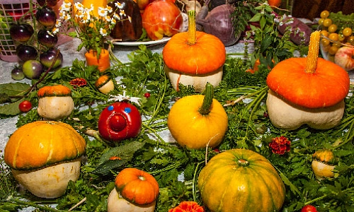 Ход оранжевой королевы или какая польза от тыквы?