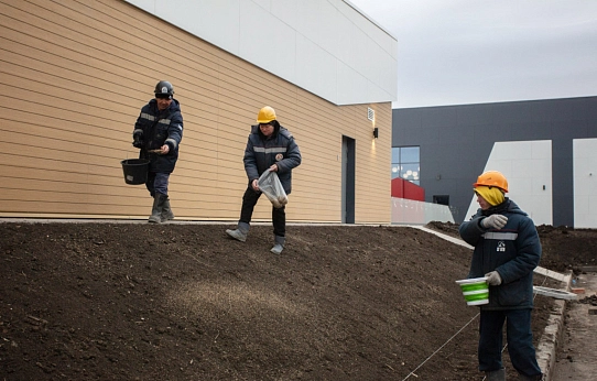 С зелёной каёмочкой…