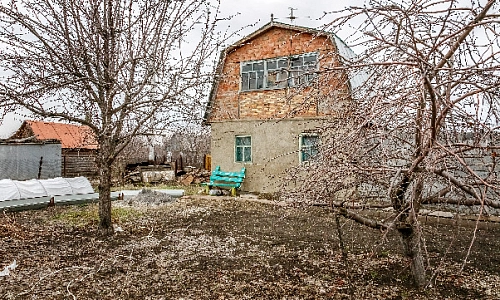 Это вам не ёлки-палки…