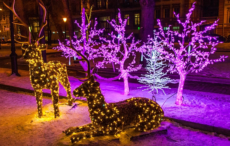 Двенадцать дней на идею