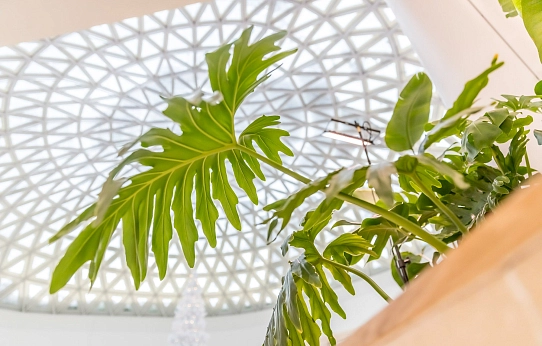 И среди зимы бывает лето