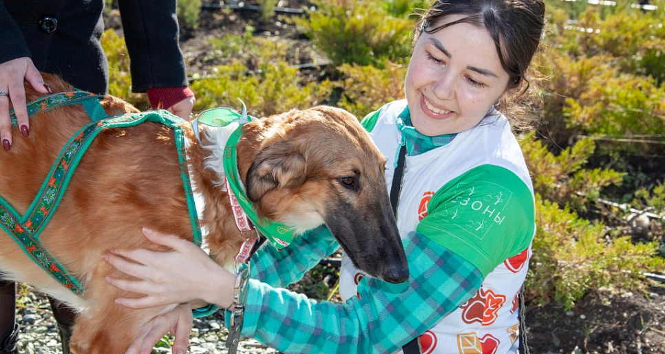 Быстрые и пушистые