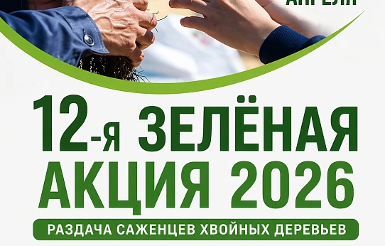 Сделаем наш город зеленее!