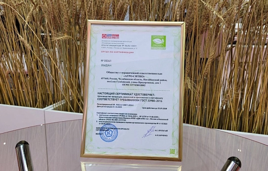 Здоровое отношение к природе и людям