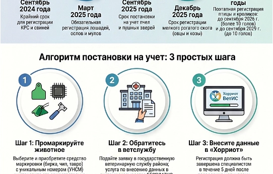 Маркировка и учет