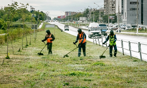 За месяц – 460 протоколов